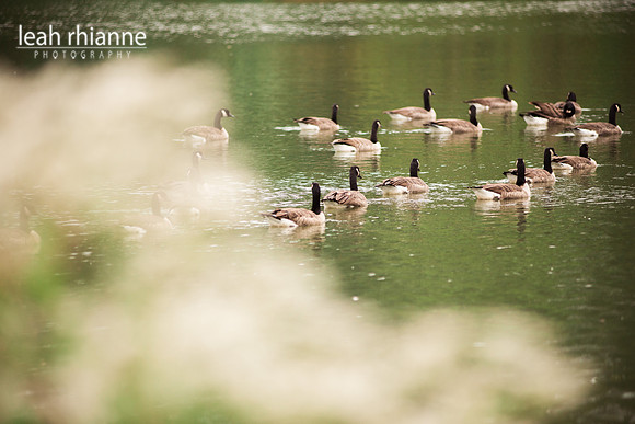 Leah Rhianne Photography