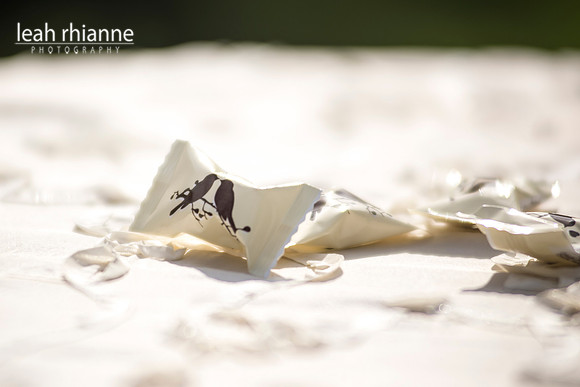 Leah Rhianne Photography
