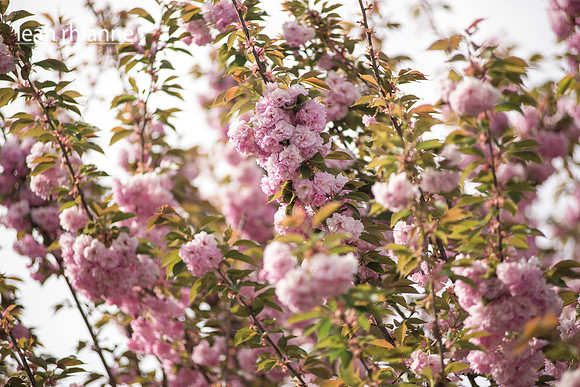 Leah Rhianne Photography
