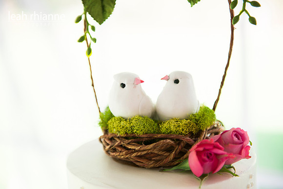 Leah Rhianne Photography
