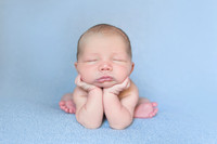 Elliott | Newborn