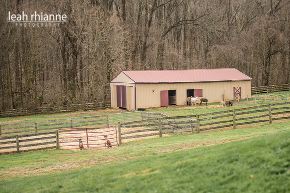 Leah Rhianne Photography