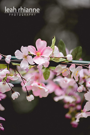 Leah Rhianne Photography