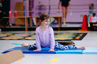 Gymnastics (2024)