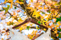 Leah Rhianne Photography