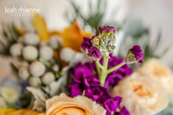 Leah Rhianne Photography