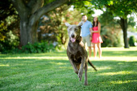 Leah Rhianne Photography