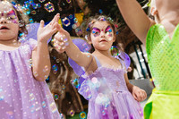 Fairy Party (2024)
